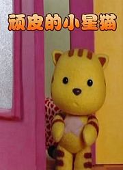 顽皮的小星猫