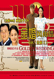 金婚风雨情TV版