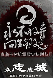 永不放弃向生命致意2010