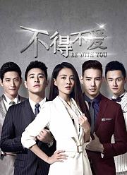 不得不爱第1季