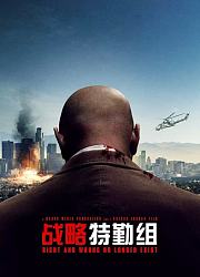 战略特勤组（2010）