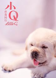 小Q
