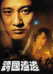 跨国追逃