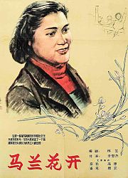 马兰花开